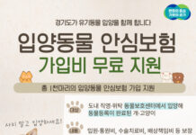 “반려동물, 이제 안심하고 키우세요” 경기도, 유기동물 입양자에게 반려동물 보험가입 무료 지원
