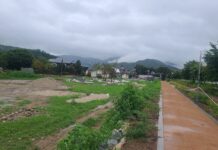 경기도, 양평 부안천서 자문회의 열고 RE100 공원조성사업 논의