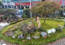 경기도, ‘부천시 이(끼)로운 탄소중립 마을정원’ 우수 마을정원에 선정