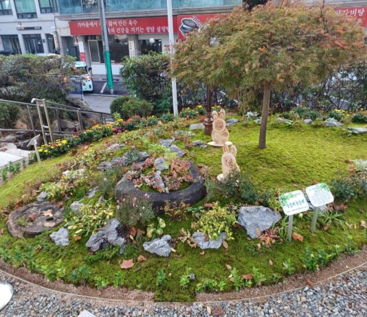 경기도, ‘부천시 이(끼)로운 탄소중립 마을정원’ 우수 마을정원에 선정