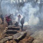 경기도, 14일부터 ‘대형산불 특별대책기간’ 돌입