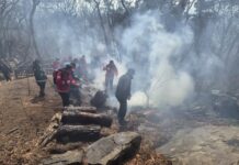 경기도, 14일부터 ‘대형산불 특별대책기간’ 돌입